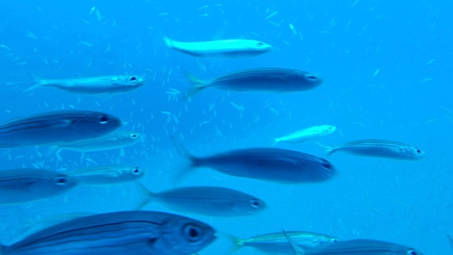 ../images/fotoalbum/lanzarote22/2022-06-20 13.30.12